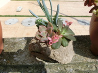 2月12日(水)