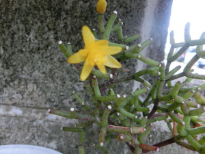 2月17日(月)