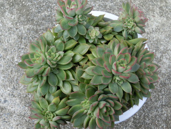 2月24日(月)
