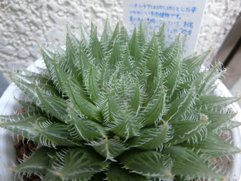 2月28日(金)