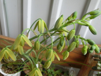 3月3日(月)