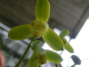 3月3日(月)