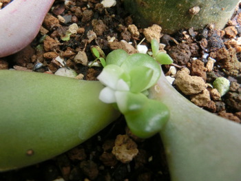 3月12日(水)