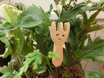 3月12日(水)