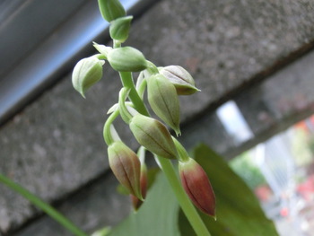 2月21日(金)