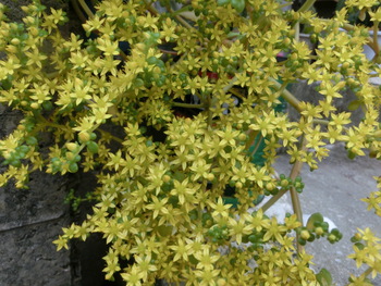 4月1日(火)
