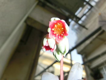 3月30日(日)