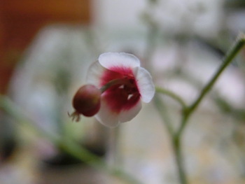 4月3日(木)