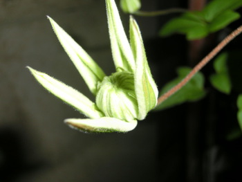 4月9日(水)