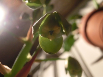4月10日(木)