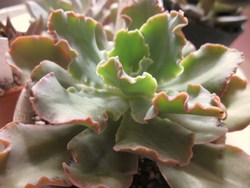 6月1日