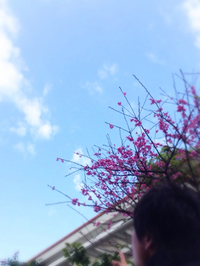 swish！~96~ 2015/02/07 11:08:11