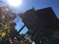 2016① 2016/01/01 15:09:13