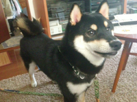 官兵衛 2014/10/10 11:18:52