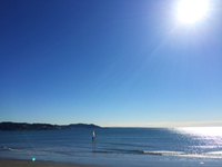 実家！ 2015/12/29 12:06:54