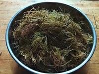 スウナ　2024.02.28 2024/02/28 22:13:56