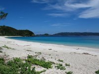 座間味島 3