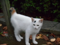 ...信じたいです 2014/10/03 01:19:32