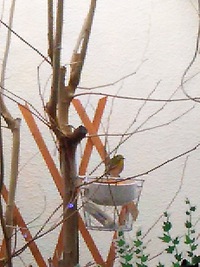 メジロさん 2016/01/21 11:16:57