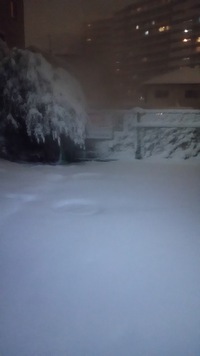 大雪 2018/01/23 02:32:00