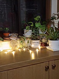 クリスマス飾り 2016/12/18 00:39:51