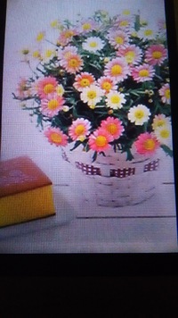 今年の母の日のプレゼント 2017/05/10 16:52:46