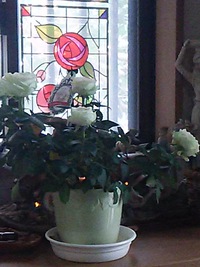 薔薇 2016/04/01 14:42:49
