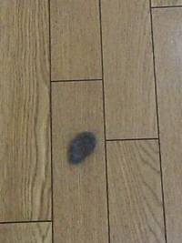 毛玉で… 2016/05/27 16:23:18