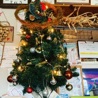 クリスマス 2020/12/04 10:45:44