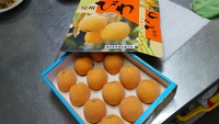 M様へ！ 2016/06/05 10:18:21