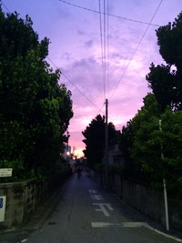渡嘉敷船  運航 2016/09/07 11:19:03