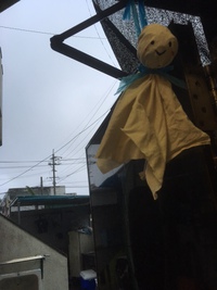 只今雷雨が止まず。。 2016/09/08 09:34:15
