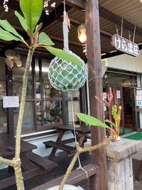 8月2日の記事 2021/08/02 18:51:58
