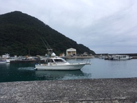 海がなーんか落ち着かない… 2018/06/19 15:28:12