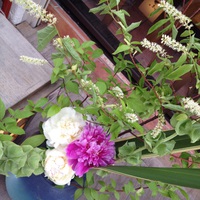 今週のお花は…♪ 2015/05/31 17:49:04