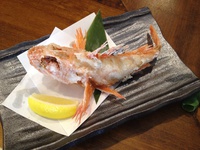 おすすめ☆ 2014/10/15 16:18:11