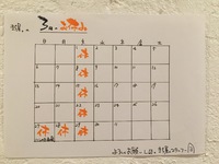 お知らせ☆ 2016/03/03 17:45:19