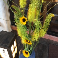 今週の… 2016/07/07 18:23:33