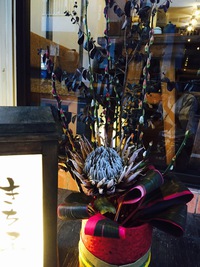 お花です♪ 2016/11/17 18:05:39