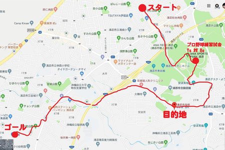 2019年  今年に入って、低山登山を実施！