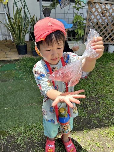 いい天気☀️ぱんだ