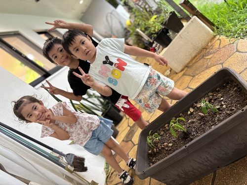 野菜植えたよ☆ぞう