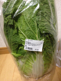 はごろも市場