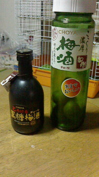 最近の流行り♪ 2013/02/20 13:51:59