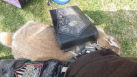 甘えん坊〜(*´∀`)♪ 2013/05/08 12:29:55