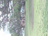 今日は、新都心で！ 2013/05/12 21:19:07