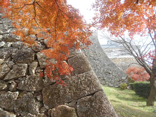 ３つの城紀行（姫路、津山、龍野）
