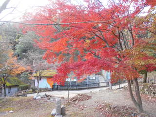 ３つの城紀行（姫路、津山、龍野）