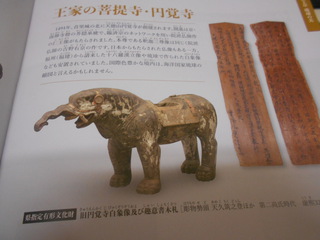 復帰50年展　「琉球」　美とその背景　　夫婦の日