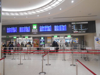 那覇空港お見送り　と　椿